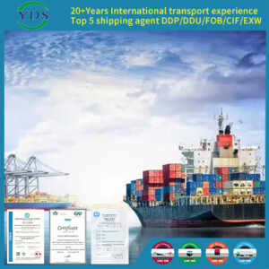 Door to door sea freight transport corporation Peru Chile Colombia Ecuador Argentina TWBSD-logistics YDS